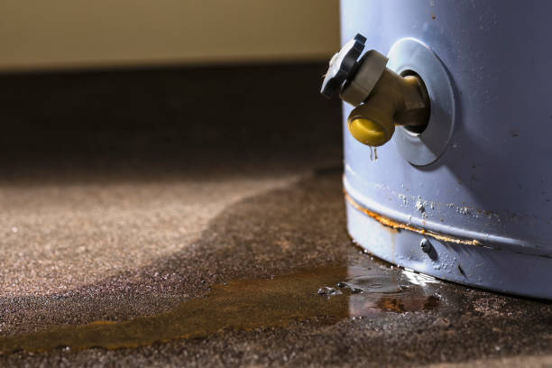 Best Flood damage cleanup  in Blackwell, OK