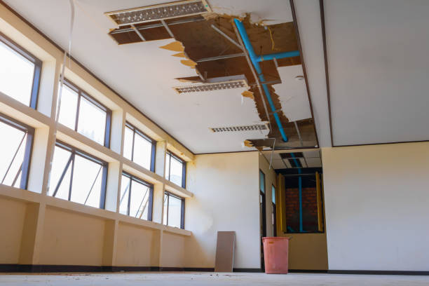 Best Water damage restoration company  in Blackwell, OK