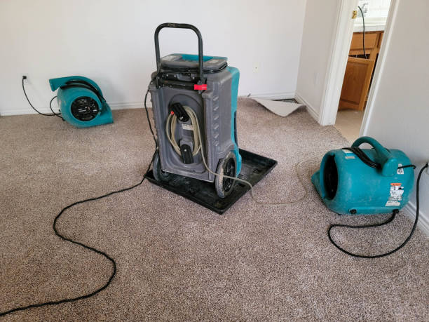 Best Commercial water damage restoration  in Blackwell, OK