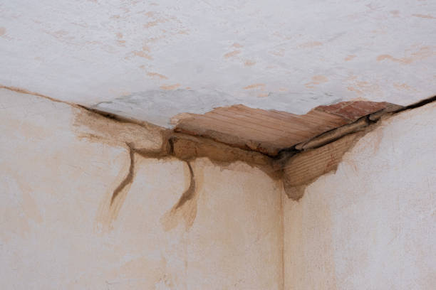 Best Basement water damage restoration  in Blackwell, OK