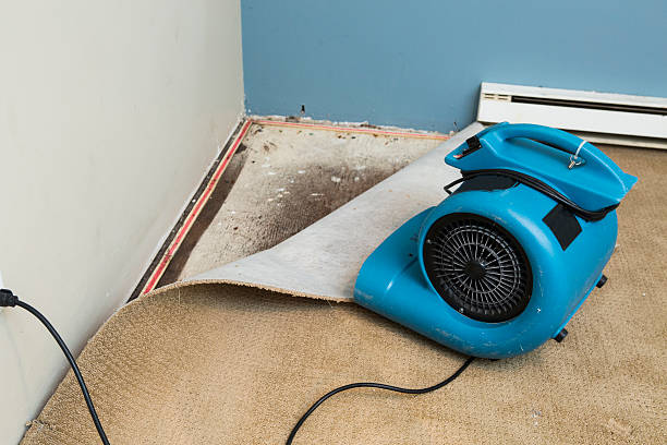 Best Ceiling water damage repair  in Blackwell, OK